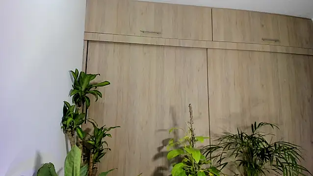 filletatouee online show from November 2025 03:01:02 AM