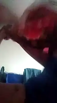 Snapshot of adriel_perez chatting on December 2024 11:55:02 AM adriel perez online show from December 2024 11:55:02 AM