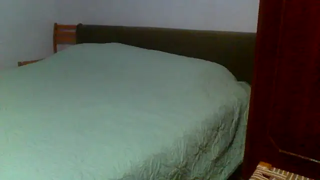 petan33 online show from September 2025 06:41:02 PM