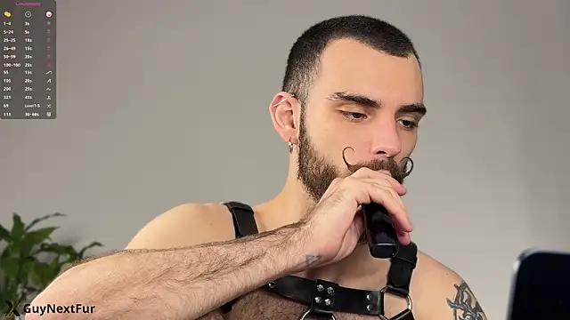 xteddy bear online show from December 2025 08:36:02 PM