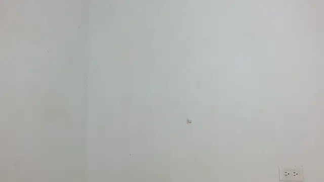 yulissa18 online show from January 2025 02:20:01 AM