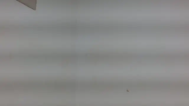 yulissa18 online show from January 2025 03:22:02 AM