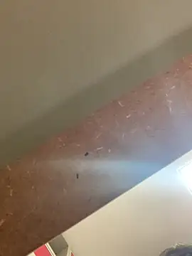 Snapshot of smithrosinha chatting on September 2025 05:24:02 PM smithrosinha online show from September 2025 05:24:02 PM