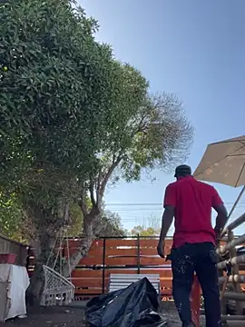 Andricastro online show from February 2025 01:42:02 PM