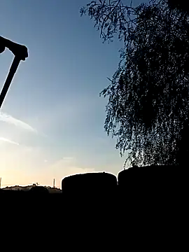 Snapshot of luke_thighwalker2469 chatting on December 2024 12:11:01 AM luke thighwalker2469 online show from December 2024 12:11:01 AM