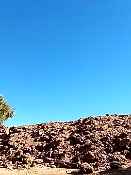 Snapshot of luke_thighwalker2469 chatting on January 2025 08:48:01 PM luke thighwalker2469 online show from January 2025 08:48:01 PM