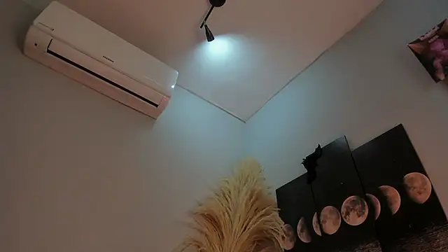 Snapshot of ALICEPOIXXXON chatting on January 2026 06:49:02 AM ALICEPOIXXXON online show from January 2026 06:49:02 AM