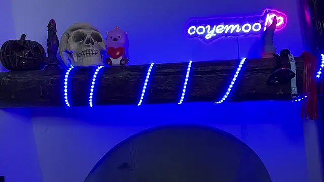 Snapshot of coyemoo chatting on February 2025 08:41:01 PM coyemoo online show from February 2025 08:41:01 PM