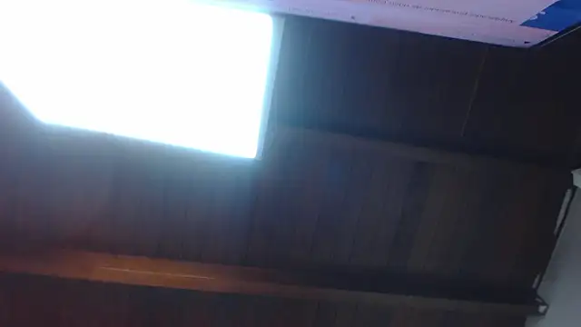 Amara Red online show from March 2026 11:17:01 AM