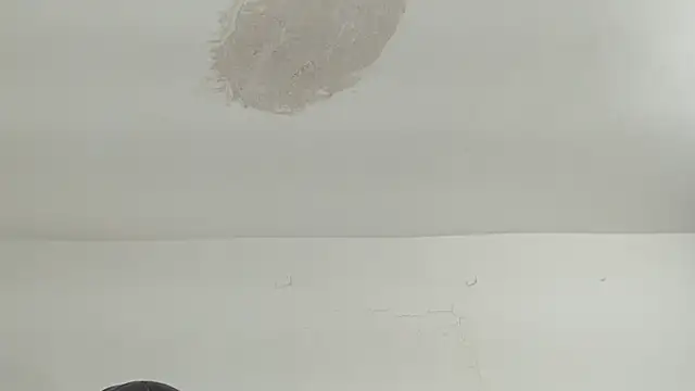 brant garciabbc online show from April 2026 09:39:33 PM