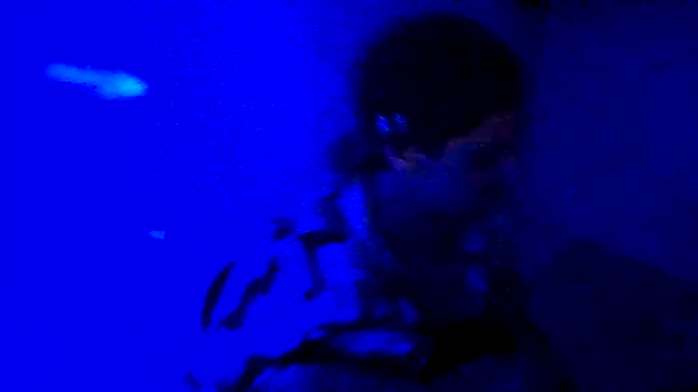 couplemilk online show from April 2026 04:10:02 AM