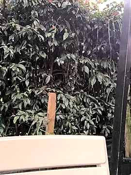 Snapshot of Fun_Everywhere chatting on March 2025 08:38:02 PM Fun Everywhere online show from March 2025 08:38:02 PM