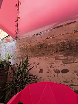 Fun Everywhere online show from April 2026 06:30:02 PM