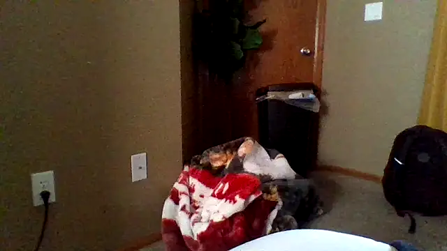 mikeystrong online show from March 2025 08:19:02 PM