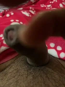 Jimbox6661 online show from January 2026 11:34:01 AM