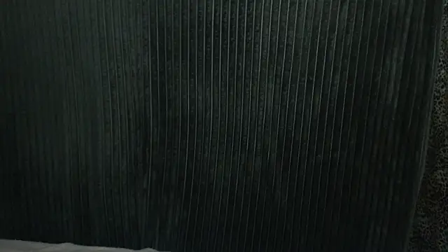 Snapshot of 1BECHA1 chatting on December 2025 07:49:01 AM 1BECHA1 online show from December 2025 07:49:01 AM