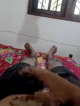 Dhjdjsjjdjj online show from April 2026 11:36:01 AM