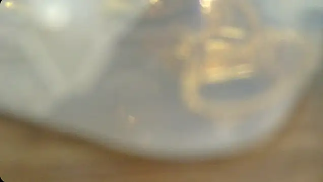 Rashisharma online show from October 2025 12:06:01 PM