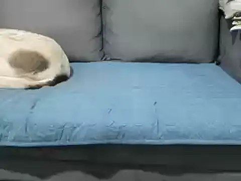 Snapshot of 4small4inchlol chatting on February 2025 12:15:02 PM 4small4inchlol online show from February 2025 12:15:02 PM