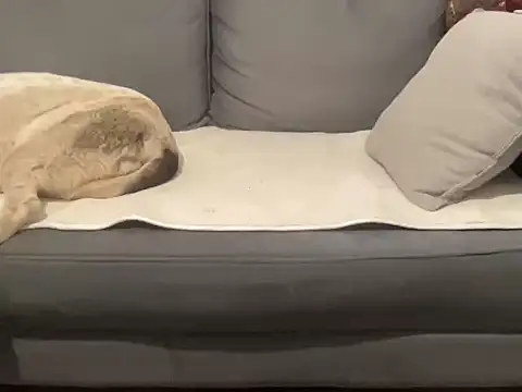 Snapshot of 4small4inchlol chatting on September 2025 09:00:01 AM 4small4inchlol online show from September 2025 09:00:01 AM