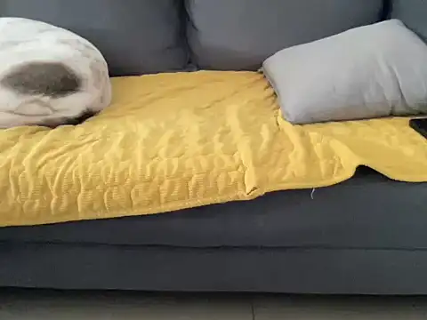 Snapshot of 4small4inchlol chatting on October 2025 10:48:02 AM 4small4inchlol online show from October 2025 10:48:02 AM