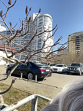 SandraCarter online show from March 2025 08:11:01 AM