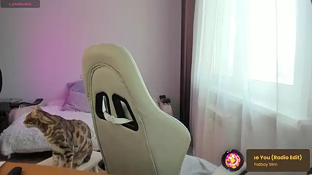 ms allison w online show from February 2025 10:30:02 AM