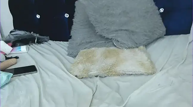 chicago 28 online show from January 2025 11:02:02 AM