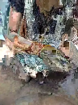 Snapshot of FeltedEuropium chatting on November 2025 09:19:02 AM FeltedEuropium online show from November 2025 09:19:02 AM