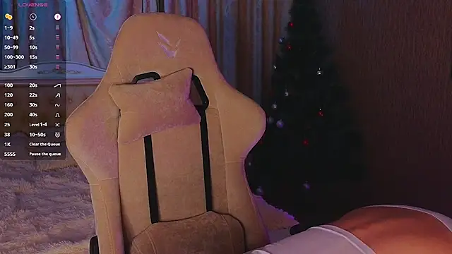 Snapshot of Saillise chatting on January 2025 07:34:02 PM Saillise online show from January 2025 07:34:02 PM