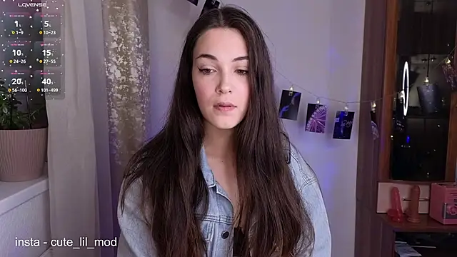 art phoenix online show from February 2026 09:05:02 PM