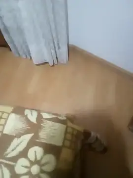 rush6983 online show from November 2025 01:28:02 AM