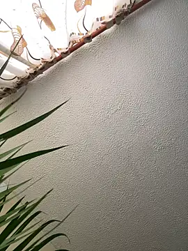 Snapshot of Arii_vega_ chatting on February 2025 09:05:02 PM Arii vega  online show from February 2025 09:05:02 PM