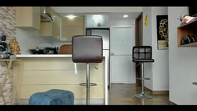 Snapshot of Dominiofit chatting on February 2025 05:03:02 PM Dominiofit online show from February 2025 05:03:02 PM