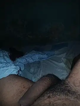 taylorWiiz online show from December 2025 04:30:02 AM