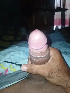 taylorWiiz online show from July 2026 02:43:01 PM