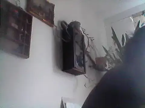 Snapshot of Bigpenis6y chatting on December 2024 01:17:02 PM Bigpenis6y online show from December 2024 01:17:02 PM