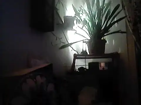 Snapshot of Bigpenis6y chatting on December 2024 03:57:02 PM Bigpenis6y online show from December 2024 03:57:02 PM