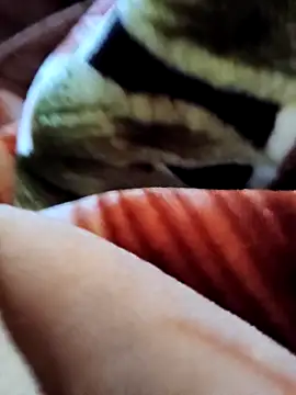 yhona darling online show from December 2025 05:36:02 AM