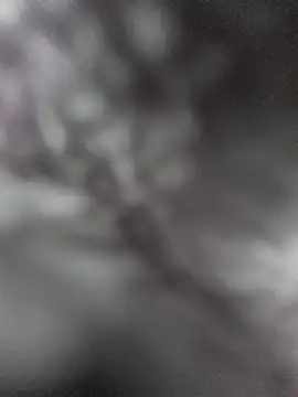 Snapshot of hungarian_dick chatting on January 2025 09:37:02 AM hungarian dick online show from January 2025 09:37:02 AM