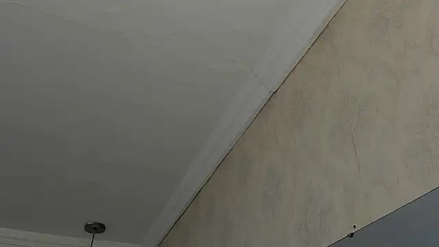 sofiaclauss online show from February 2025 04:47:01 AM