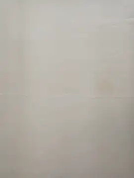 Snapshot of Rina777o chatting on December 2024 06:15:02 PM Rina777o online show from December 2024 06:15:02 PM