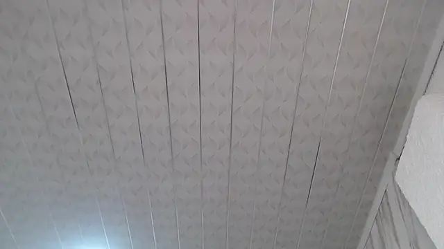 Violeth b online show from February 2025 12:36:01 PM