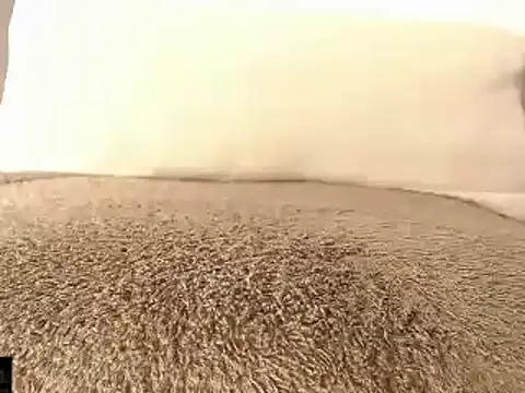 mikellwilliams10 online show from March 2025 01:29:01 PM