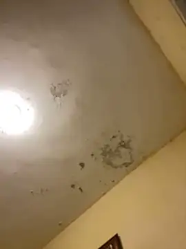 Snapshot of tobiramalapara chatting on December 2025 02:22:01 PM tobiramalapara online show from December 2025 02:22:01 PM