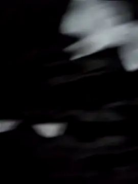 jhulyyy online show from March 2025 08:59:01 PM