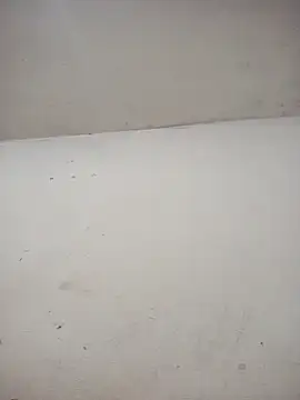 ambarlennoix online show from December 2025 06:21:01 AM