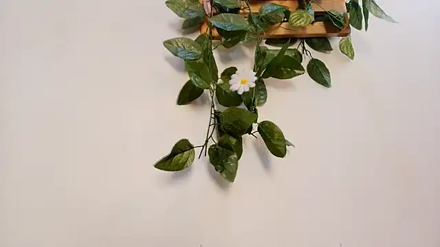 mss samy online show from February 2026 03:13:01 AM