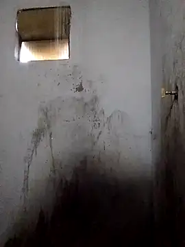 Snapshot of Percybr4561 chatting on November 2025 01:13:02 PM Percybr4561 online show from November 2025 01:13:02 PM