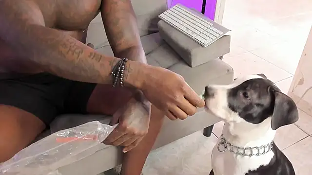 Dvid Rullers online show from September 2025 12:50:01 PM